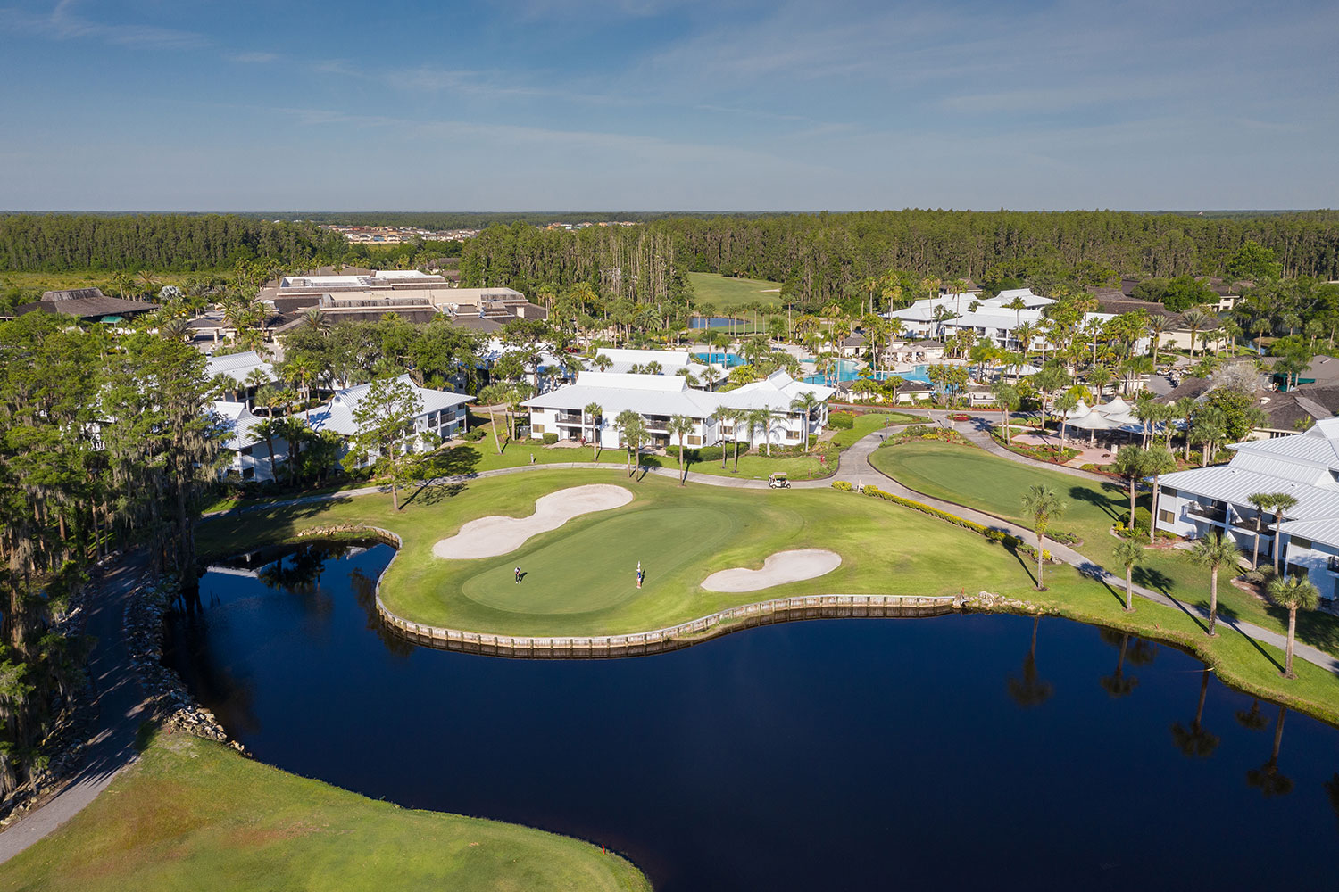 florida-golf-schools-saddlebrook-green